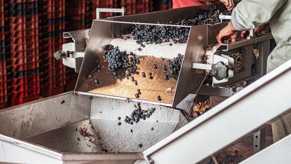 Vinsolutions: Revolutionizing the World of Wine from Vine to Glass
